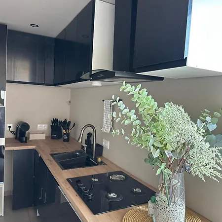 Appartement Penthouse Paradise T4 *